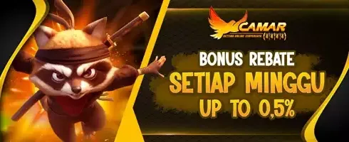 Cashback VIP Mingguan 0.5% promotion